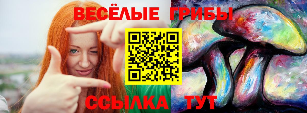 Александров  Галлюциногенные грибы мухоморы  Псилоцибиновые грибы Psilocybine cubensis  Вход с VPN 