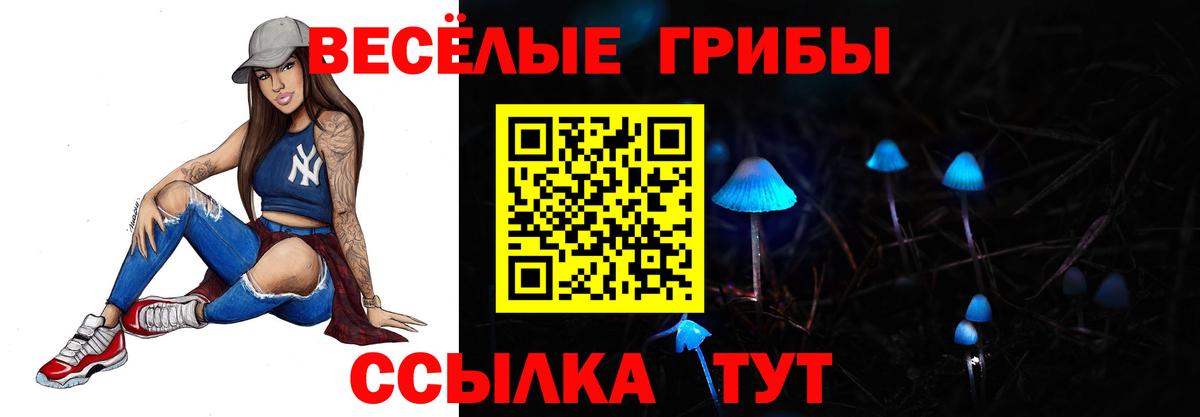 Псилоцибиновые грибы GOLDEN TEACHER Александров